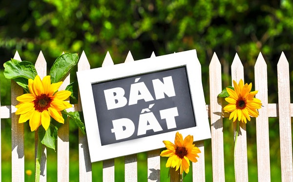 ban-dat